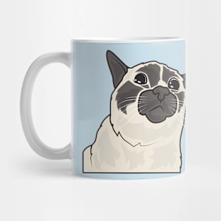 The Curious Cat Mug